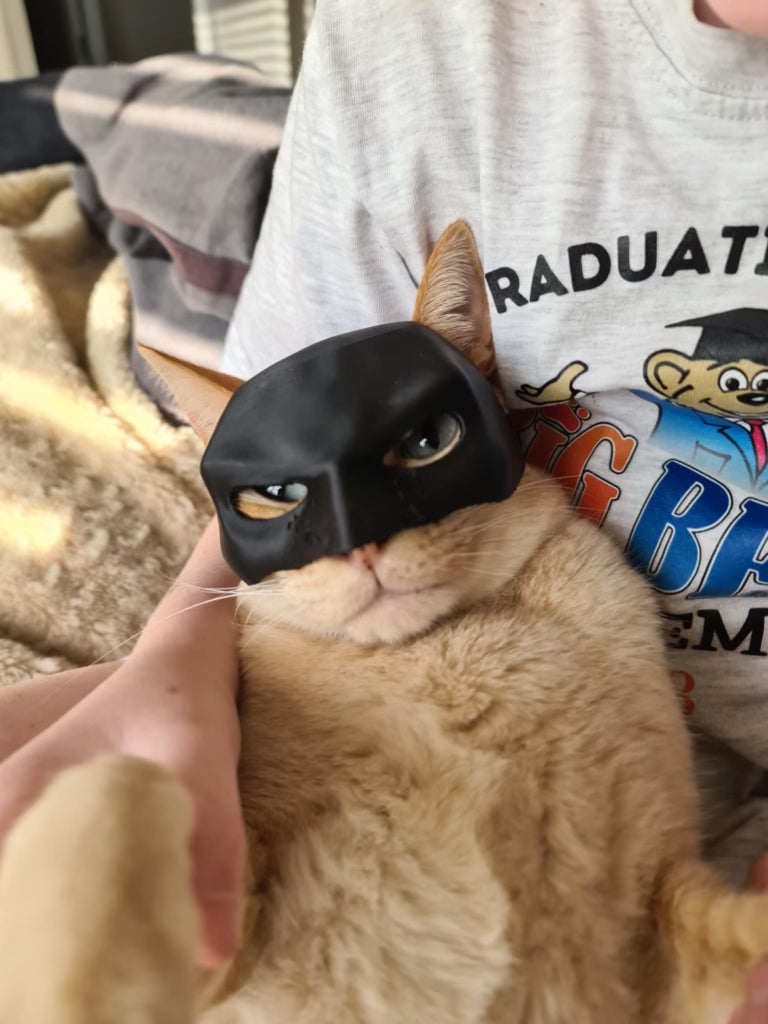 Cat mask